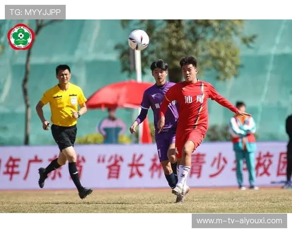 竞技水平不断提升（431 ）